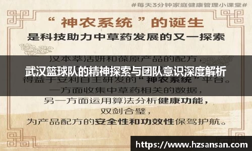 武汉篮球队的精神探索与团队意识深度解析